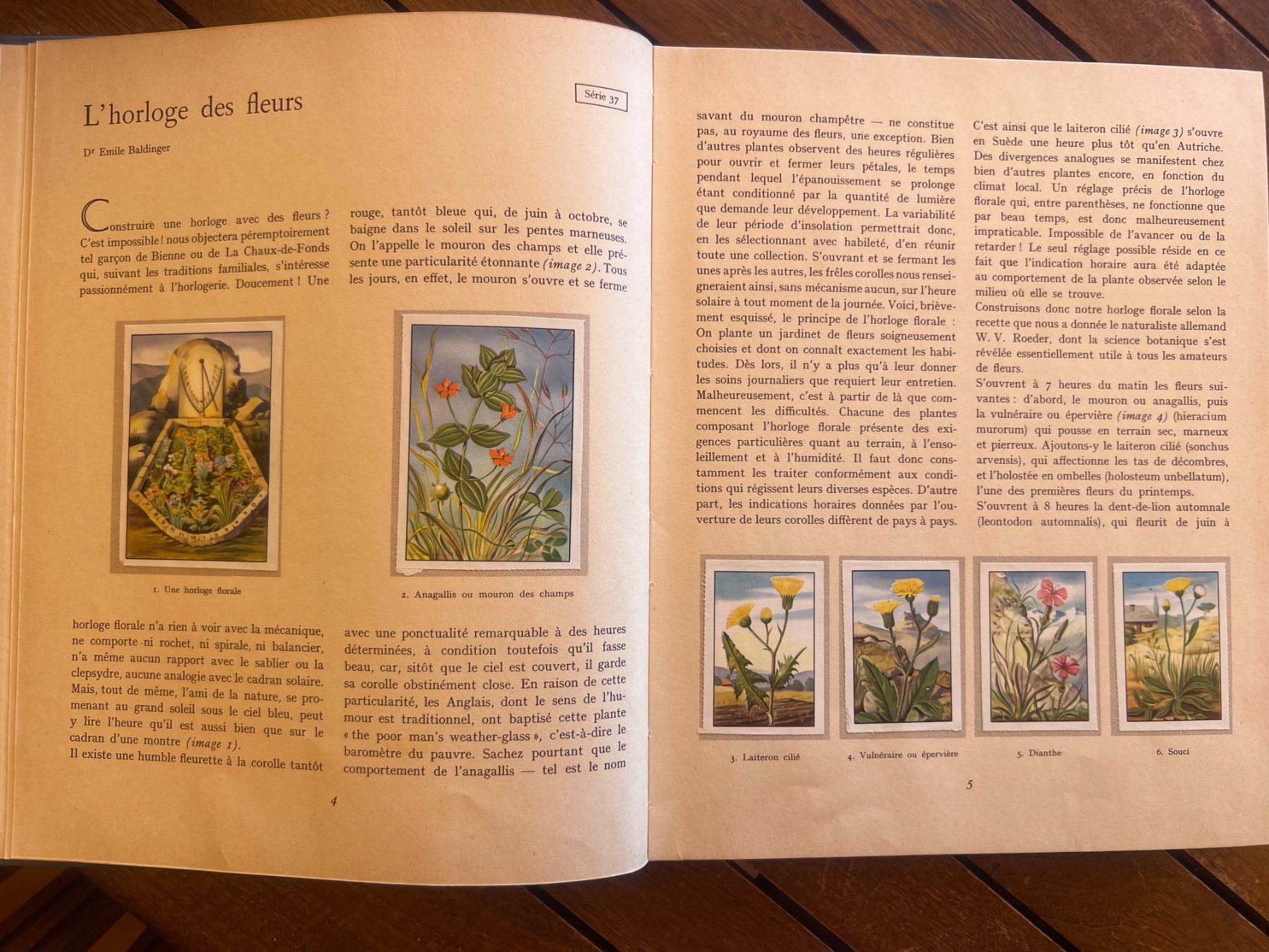 Alben: Album Nestlé avec vignettes collées – Gebraucht aus Savigny von ron_q529 3