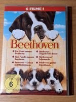 DVD BEETHOVEN, Tierische Abenteuer-Boxset mit 6 Filmen