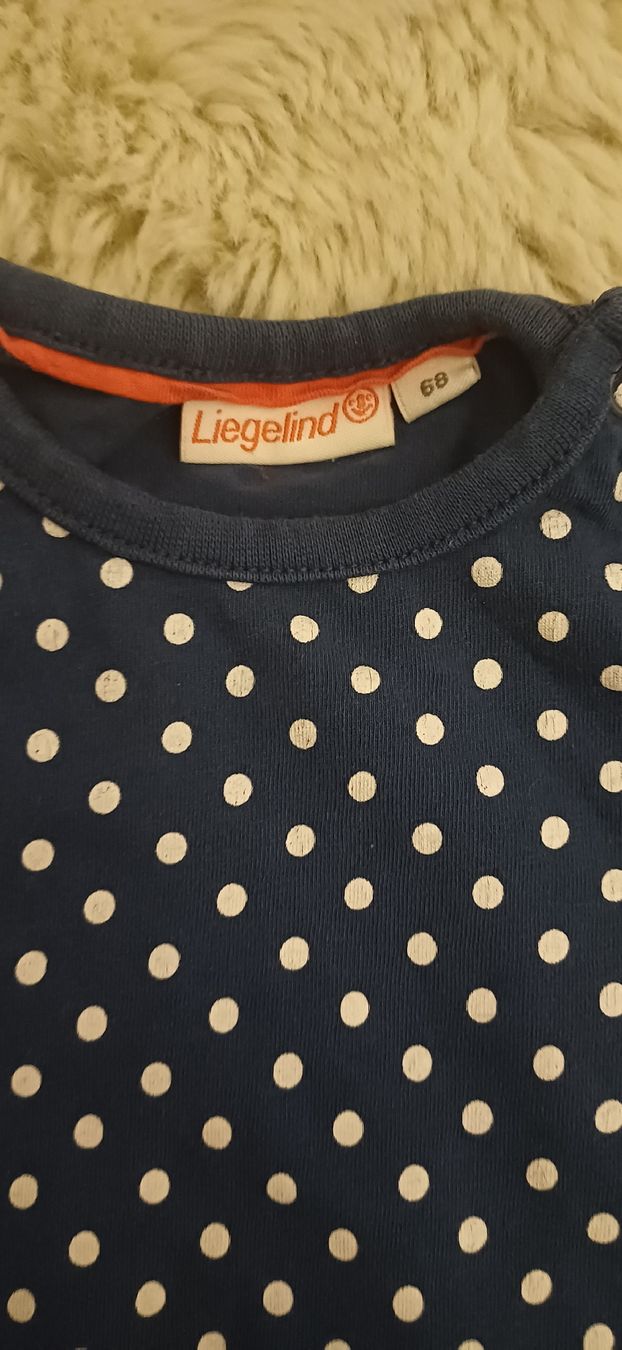 Camicie, Top & T-shirt: t- Shirt gr 68 – Usato da Riniken venduto da Lessy- 1