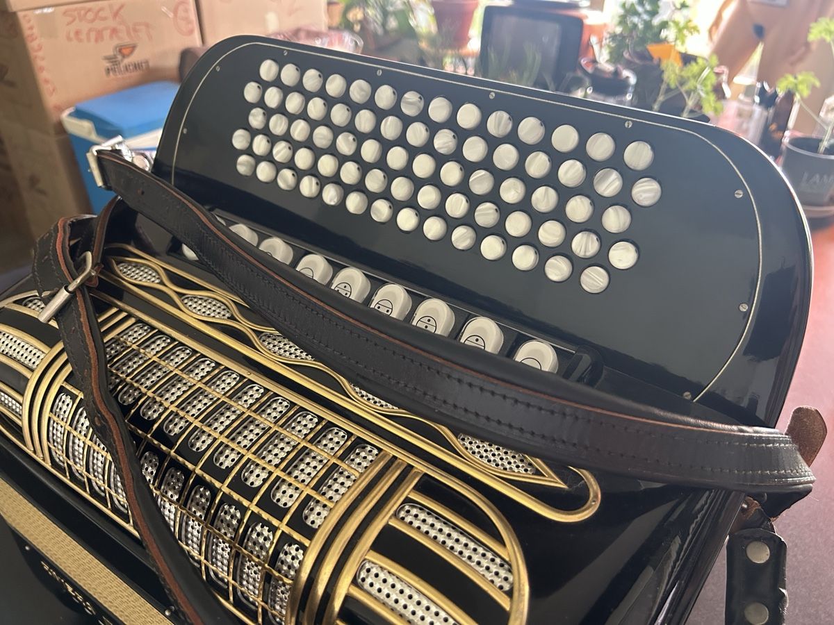 Hohner Strumenti musicali: Accordéon  Hohner Riviera III – Usato da Genève venduto da lar_7pkl 1