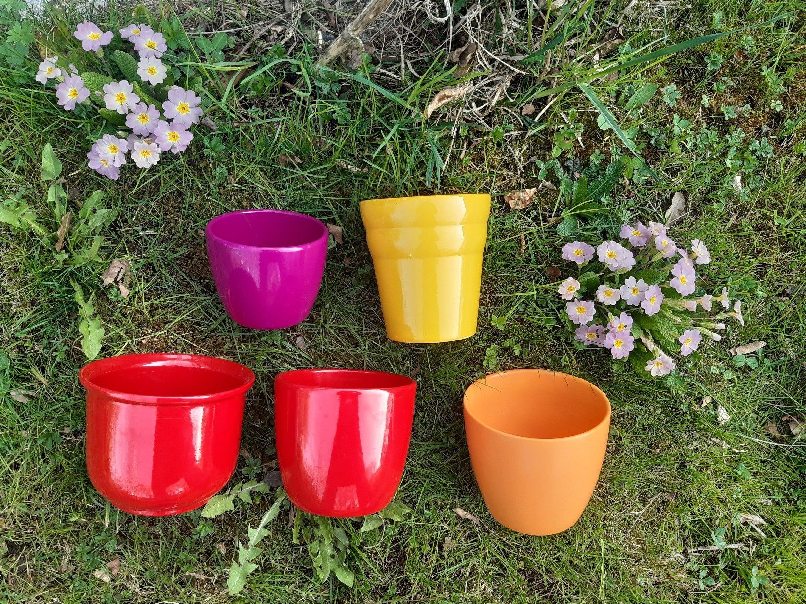 Blumentöpfe: 5 bunte Blumentöpfe für drinnen & draussen, Cache pots – Gebraucht aus Uster von mar_276v