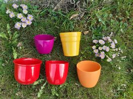 5 bunte Blumentöpfe für drinnen & draussen, Cache pots