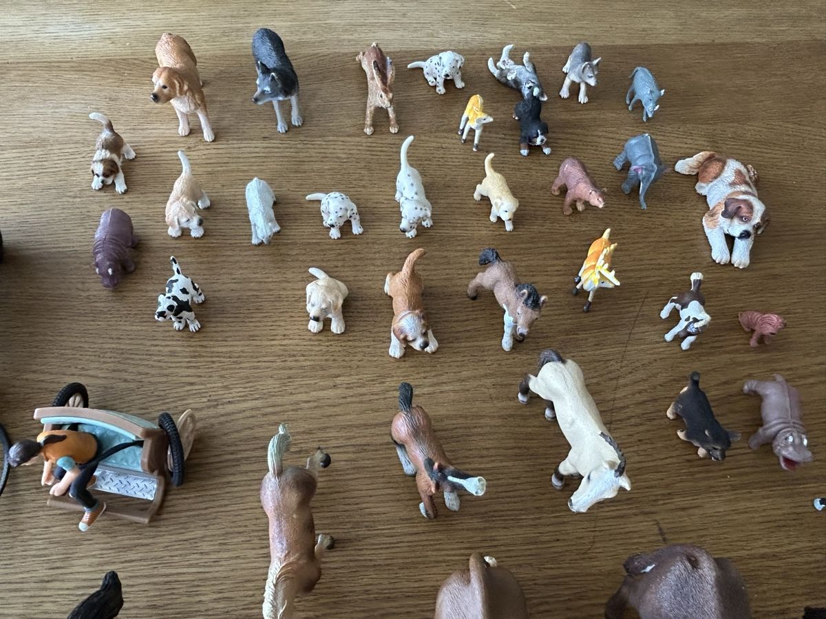 Schleich Figuren: Schleich Pferde Sammlung mit Zubehör – Gebraucht aus möhlin von Caja1 1