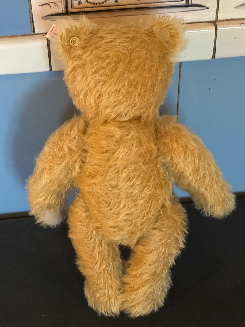 Steiff Giocattoli: STEIFF Teddy Mr. Googly – Usato da Neuendorf venduto da Sternenzauber17 1