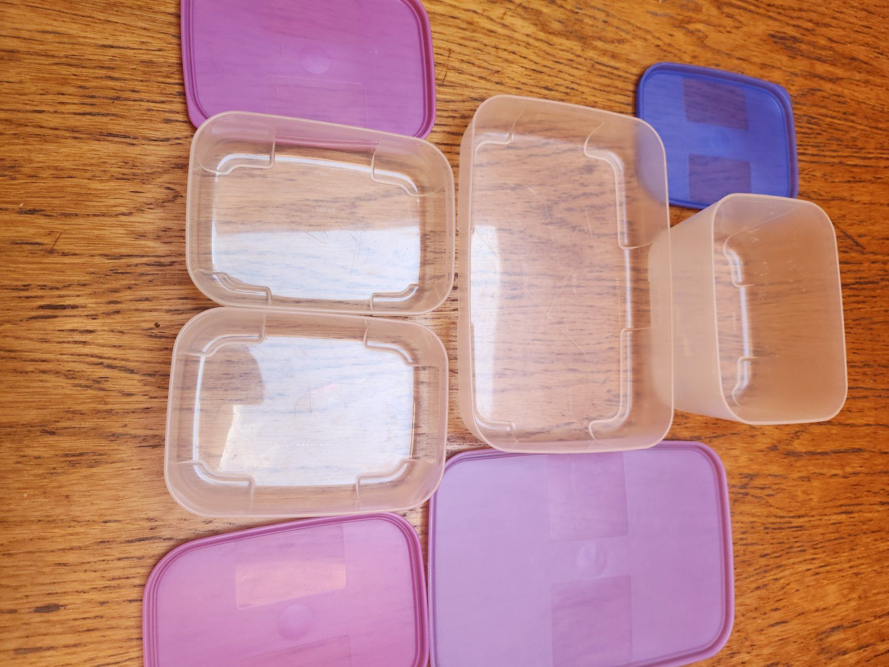 Tupperware Recipients et similaires: Tupperware Behälter flach,  + einmal 7.5 – D'occasion à Gstaad par Kuhstall-2026 1