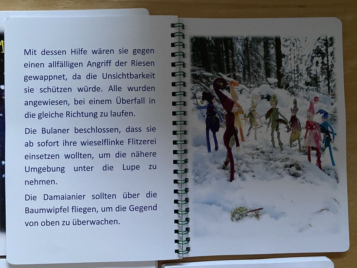 Libri: 10 Märchen über Elfen - Damaiania – Usato da Schwarzenburg venduto da Michellu 3