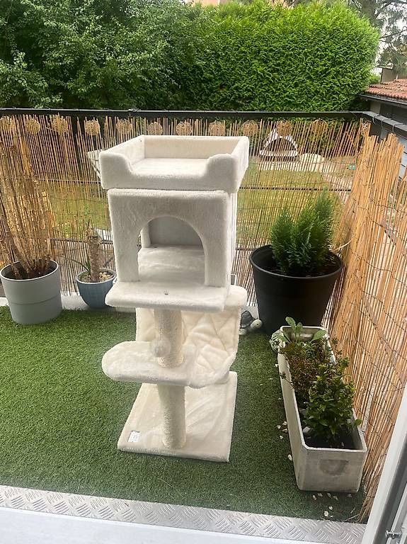 Katzenbaum - Kratzbaum: Katzenkratzbaum / Cat scratcher – Gebraucht aus Emmenbrücke von dua_9nzf 1