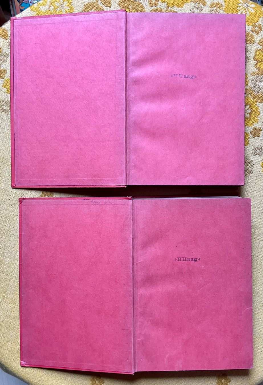Libri: 2 Bücher Der Schweizerische Robinson von 1895 – Usato da Endingen venduto da nathan05 2