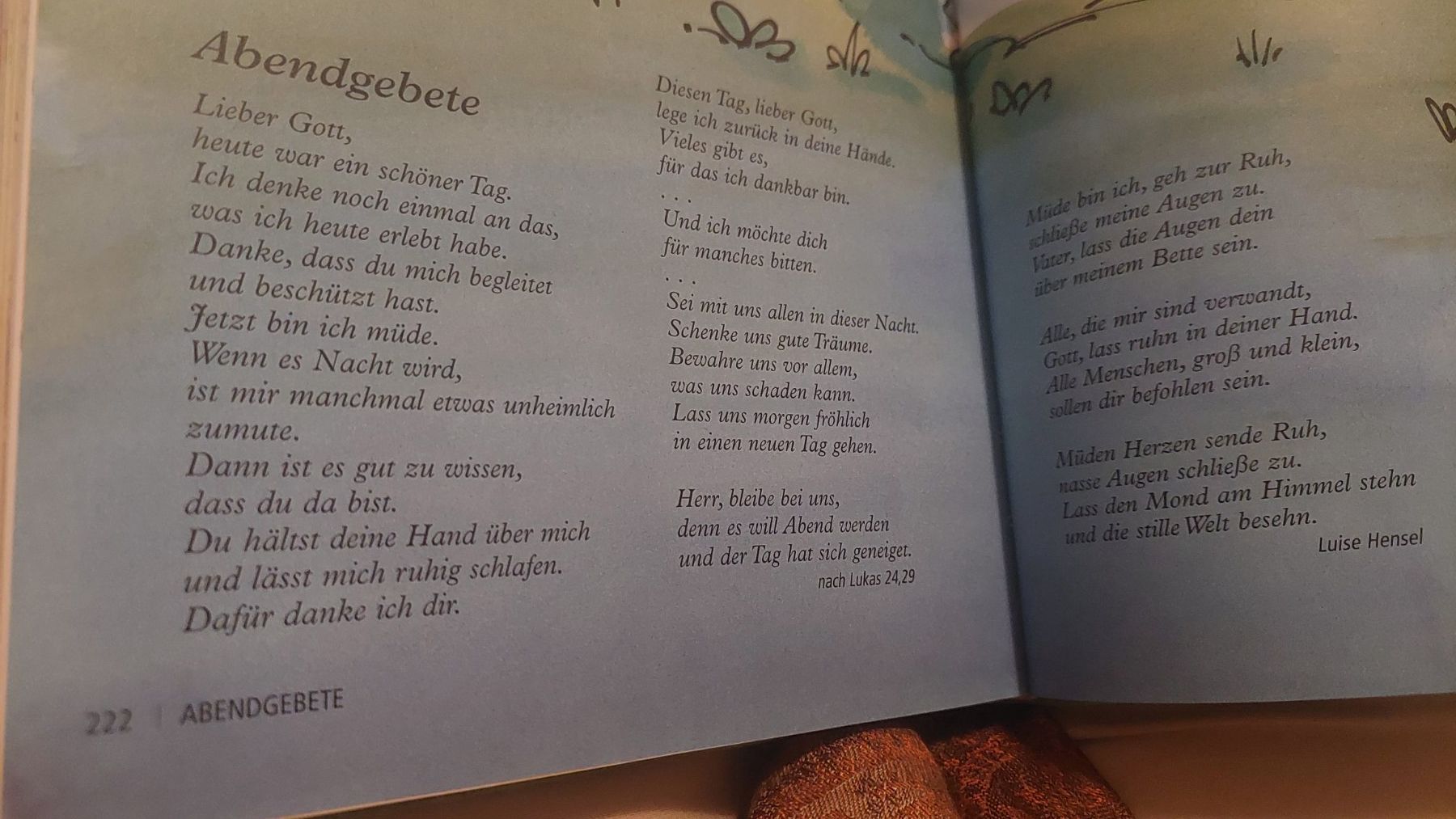 Libri: Kinderbuch über Tradition,sanfter Einstieg – Usato da Basel venduto da O-MEGA 7