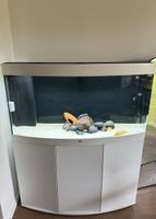 Juwel Vision 260l + 2 Axolotl