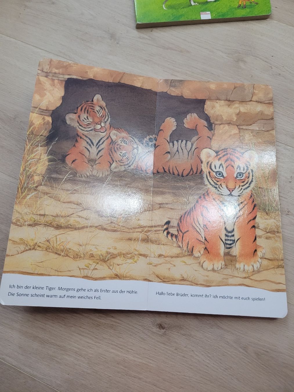Livres: Buch Tierkinder 2 Jahre – D'occasion à Lupsingen par sta_wgg5 3
