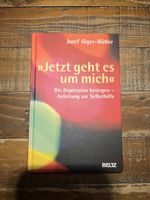 Depression besiegen - Jetzt geht es um mich! Buch