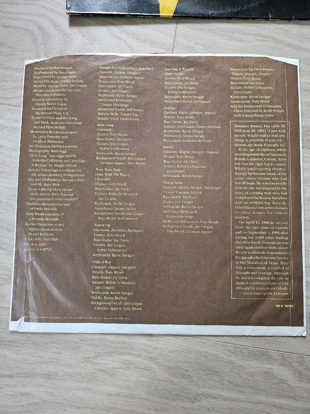 Dischi in vinile: Vinyle Rod Stewart - Tonight I'm Yours – Usato da La Joux FR venduto da car_ck96 4