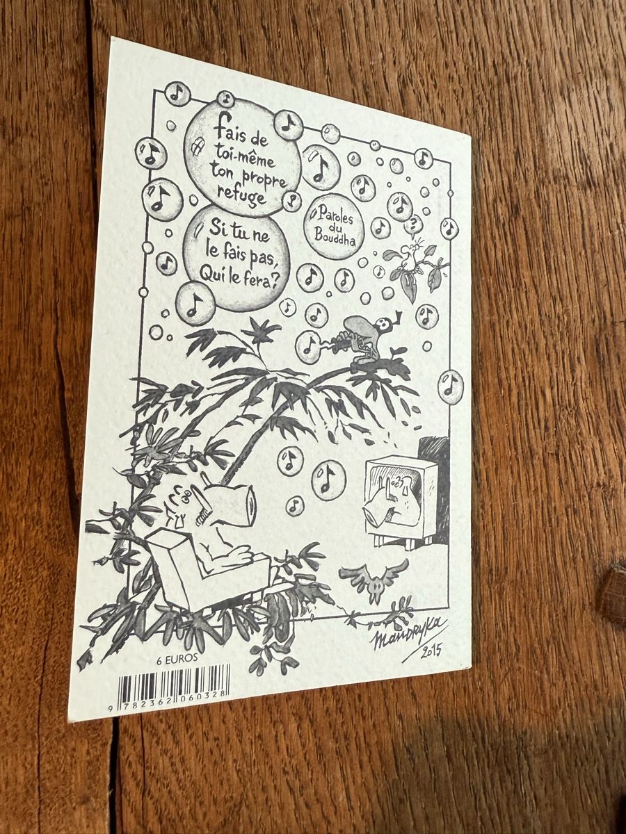 Fumetti: BD La Veste numérotée et dédicacée par Mandryka – Nuovo (secondo la descrizione) da Genève venduto da math_cedra 2