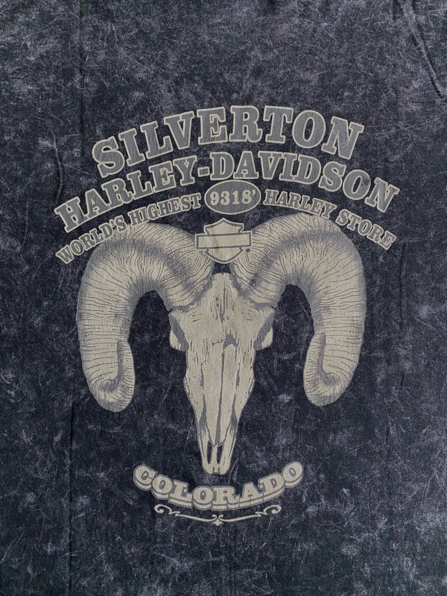 Harley-Davidson T-shirt: Harley-Davidson T-Shirt – Usato da Eiken venduto da Carcharias 1