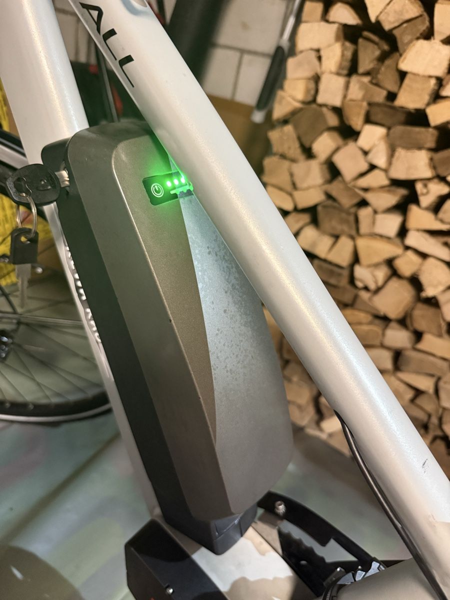 Biciclette: Ebike Kristall – Difettoso da Wohlen AG venduto da Burig 6
