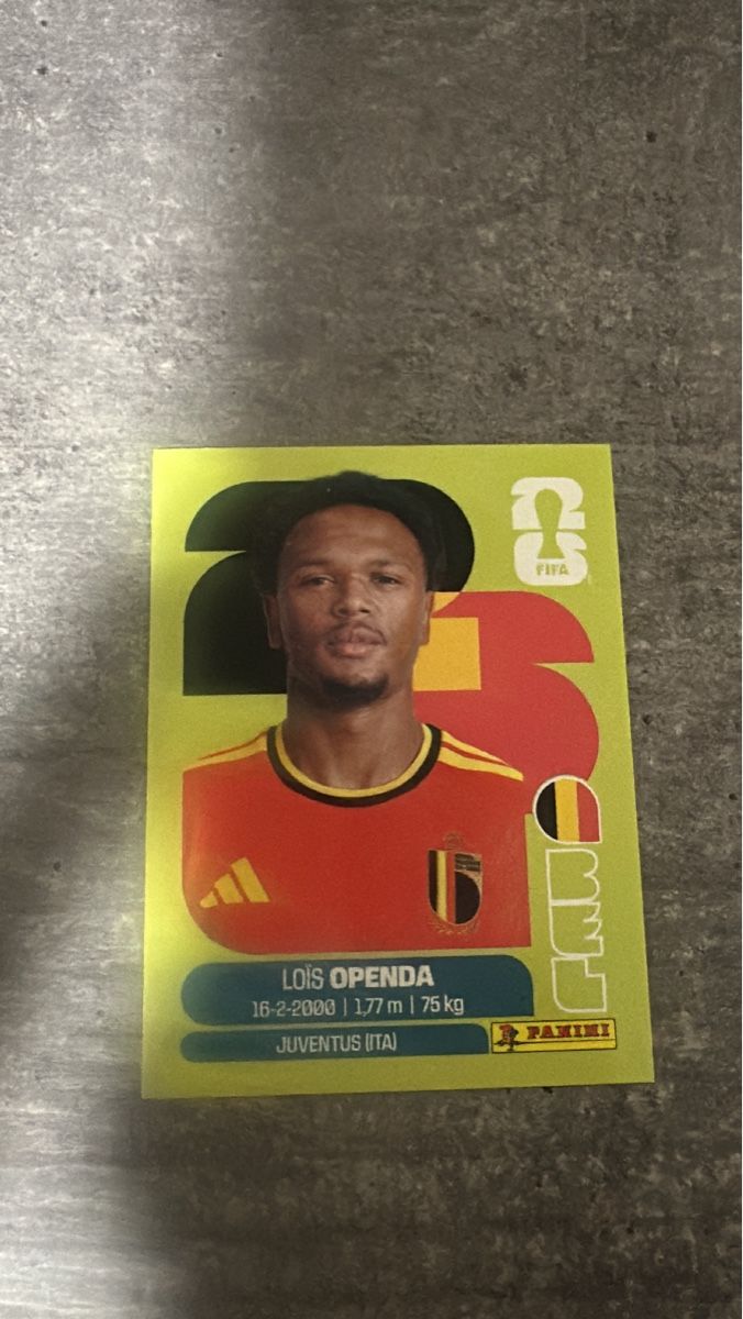 Panini Carte collezionabili: BEL 19 , FIFA WORLD CUP 2026 PANINI  – Nuovo (secondo la descrizione) da Frauenfeld venduto da 1PegPeg1