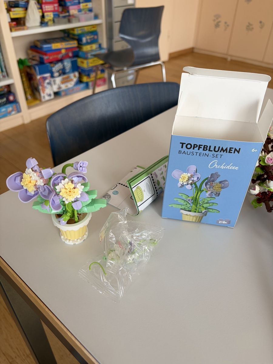 Lego Giocattoli: Lego Botanicals Diverse Blumen Set – Nuovo (secondo la descrizione) da Zürich venduto da powrpff 3
