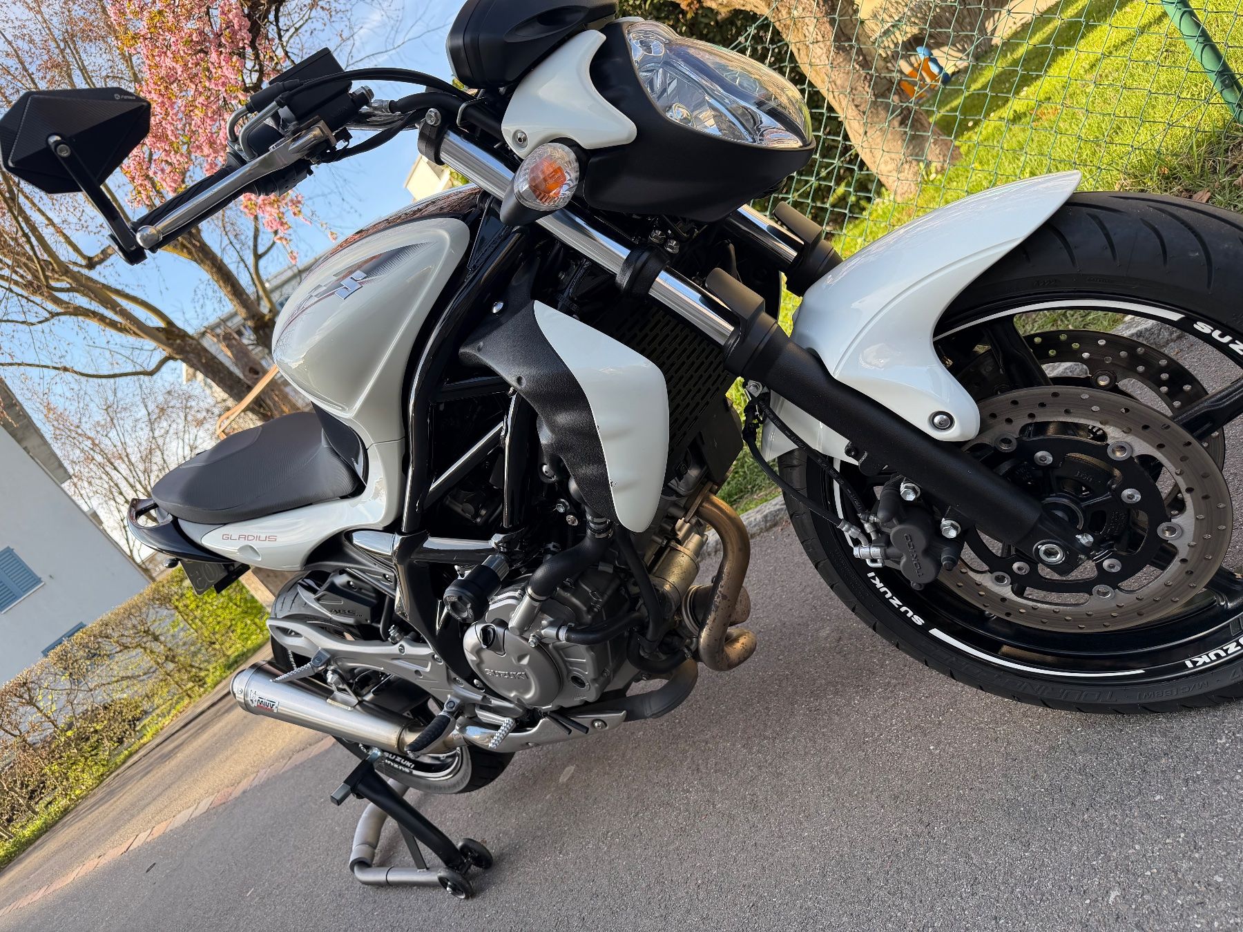 Suzuki Strada: Suzuki SFV 650 A Gladius Top Zustand – Usato da Dietikon venduto da W.Doctor 1