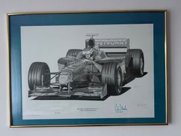 Limitierte Lito des Red Bull Sauber Petronas F1 C17