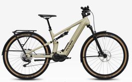 Flyer GorocX 4.10 FS