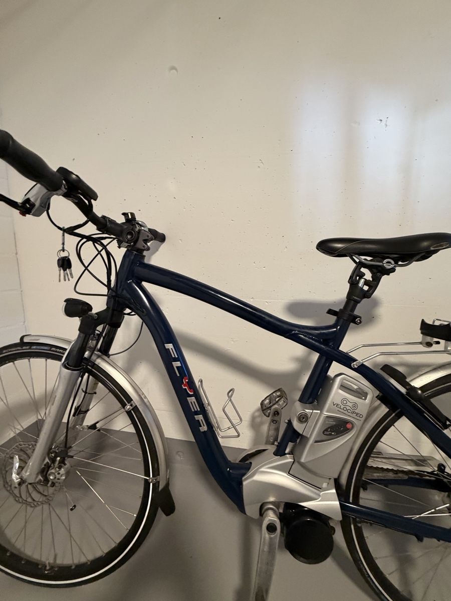 Flyer Biciclette: Elektrovelo Flyer  – Usato da Kägiswil venduto da rezha 2