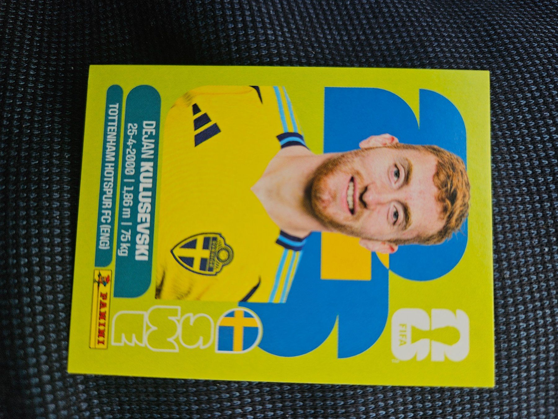 Panini Cartes à collectionner: SWE 17 – D'occasion à Würenlingen par Dinli