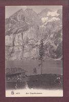 Am OESCHINENSEE - Kühe