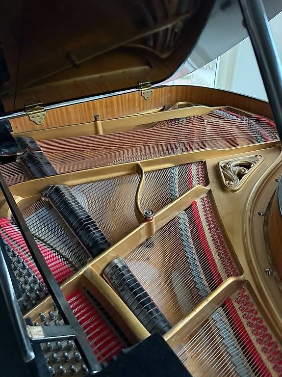 Instruments de musique: Flügel – D'occasion à Uznach par Drafensteiner 4