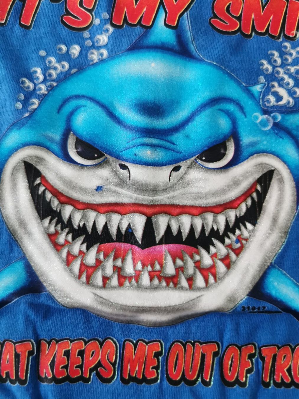 Camicie, T-shirt & Polo: Blaues Shirt, Gr. 150 – Nuovo (secondo la descrizione) da Malters venduto da Wahni81 1