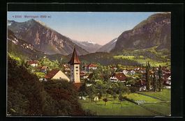 Meiringen, Panorama vom Berg aus gesehen