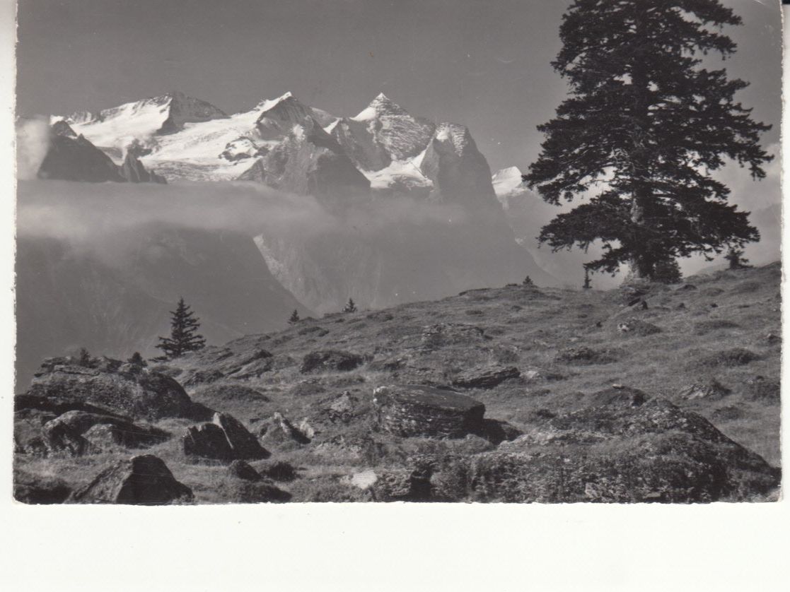 Cartoline postali: Hasliberg 1964 – Usato da Bürglen TG venduto da StampGraf