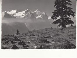 Hasliberg 1964