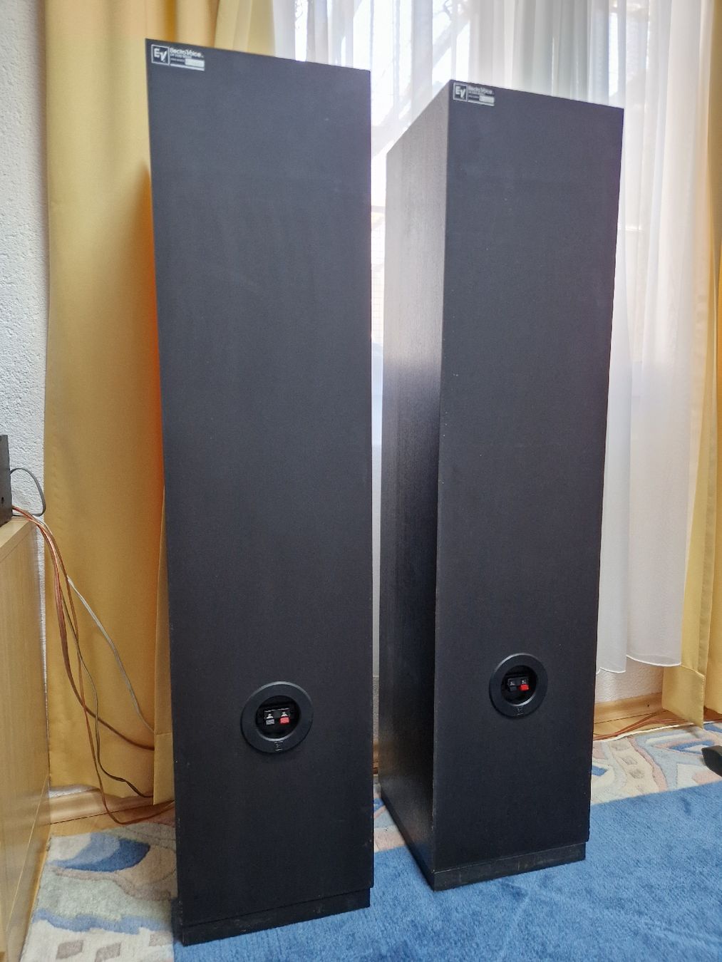 Electro-voice Casse acustiche: Elektro Voice Link 10 – Usato da Arbon venduto da Mayak_Sound 7