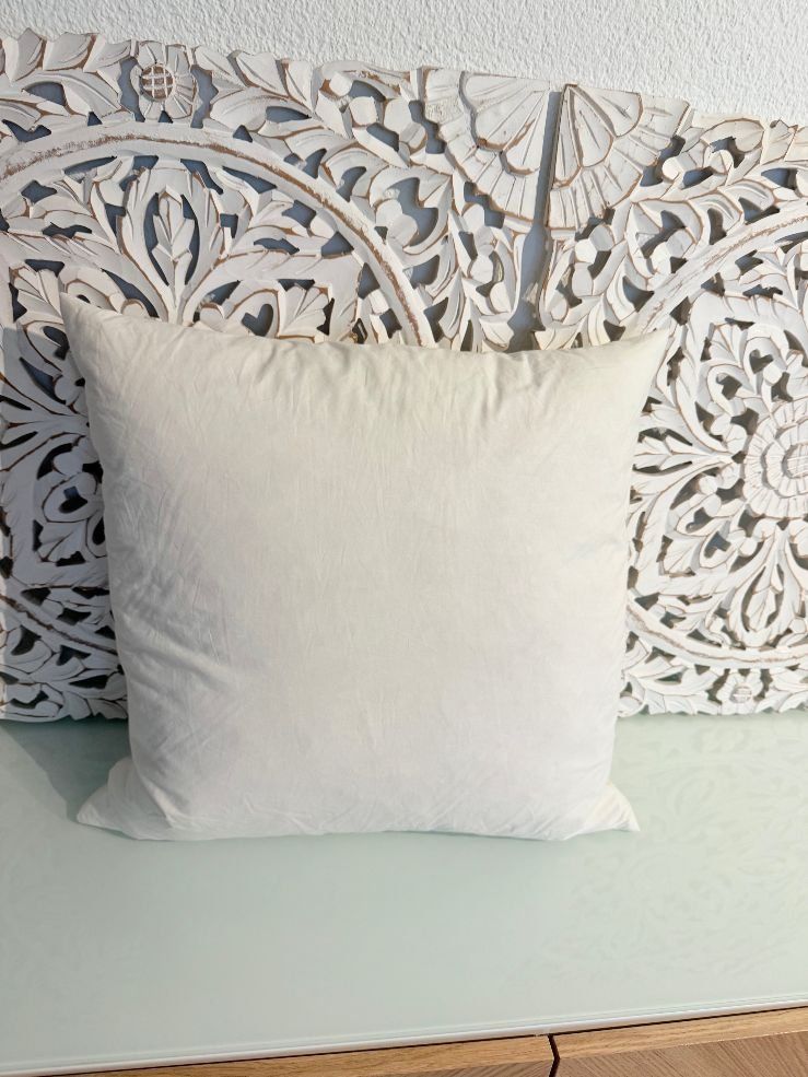 Globus Kissen: Echte Daunen Kissen 50x50cm – Gebraucht aus Fällanden von Eifachschoen 2