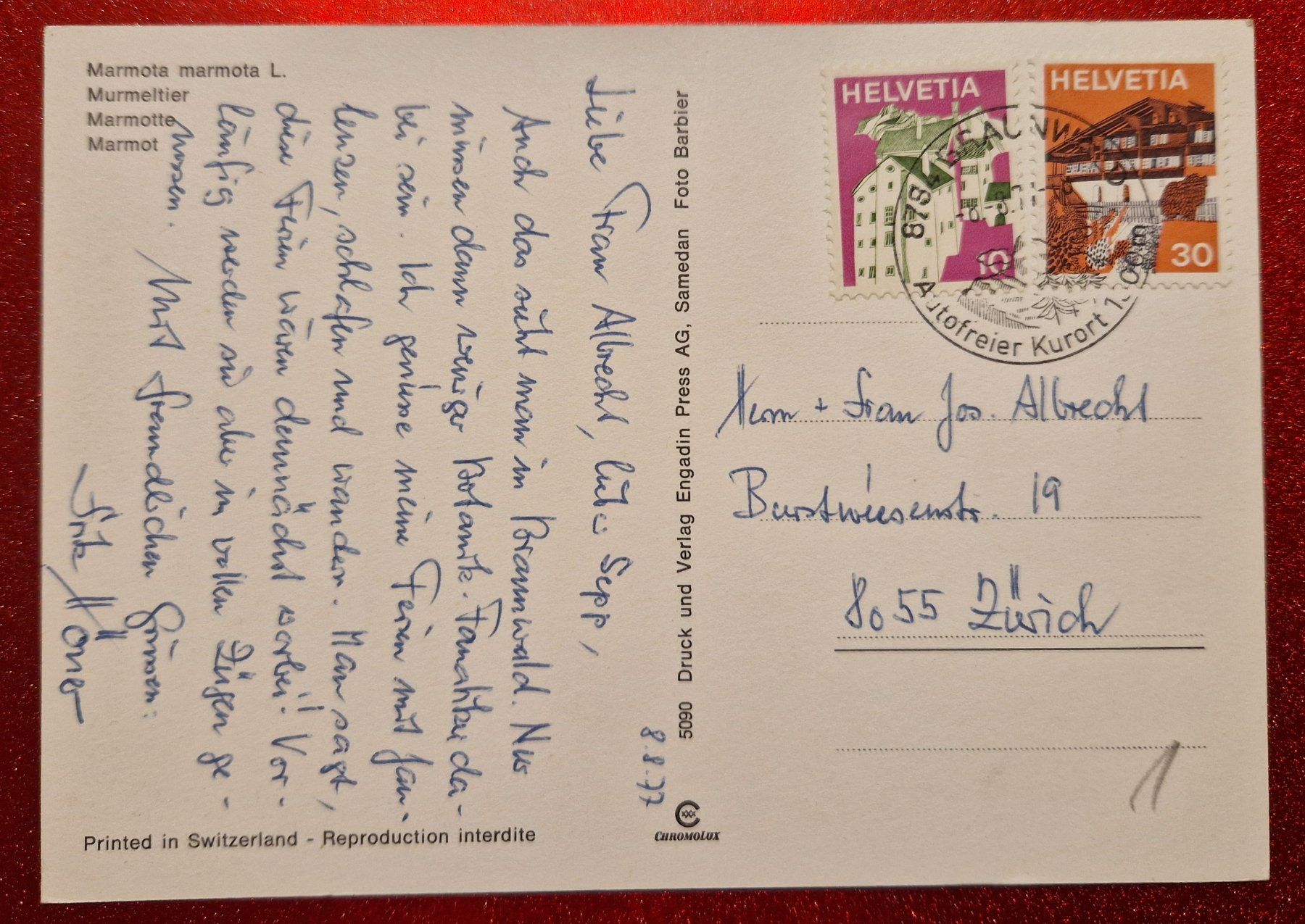 Cartoline postali: Murmeltier 1977 – Usato da Melchnau venduto da Arthurius 1