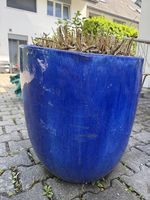 Blumentopf