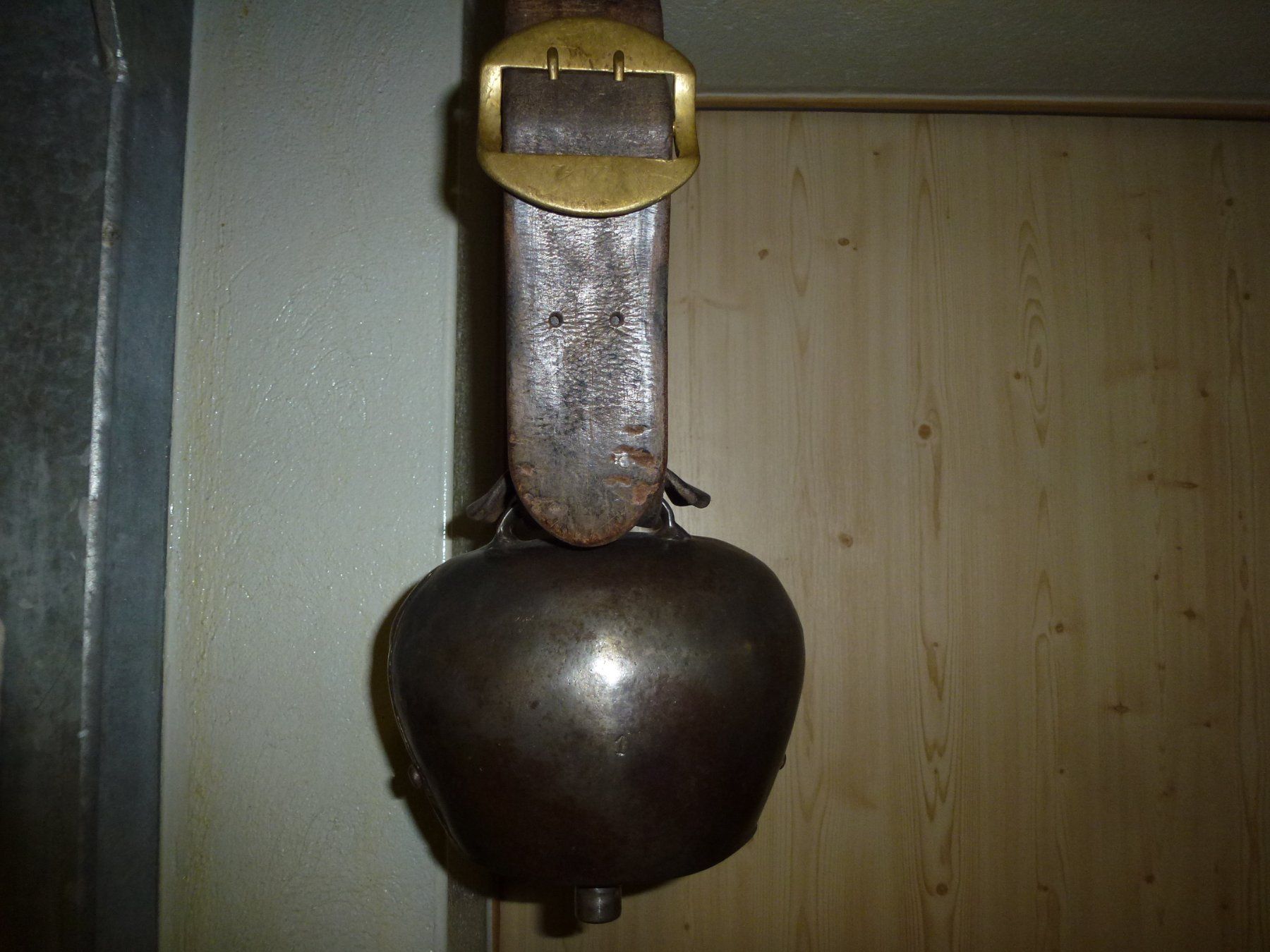 Morier Campanacci mucche: P.MORIER – Usato da Bürglen UR venduto da daisyxy5