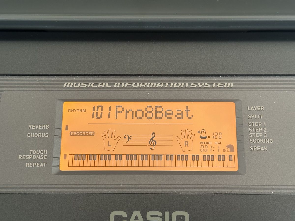 Casio WK-110 Keyboard - Perfekt für Einsteiger! Top Zustand (Gebraucht ...