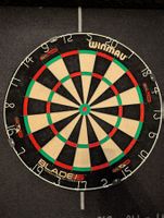Dartboard inkl. Lichtring + Autodarts Setup - Plug & Play