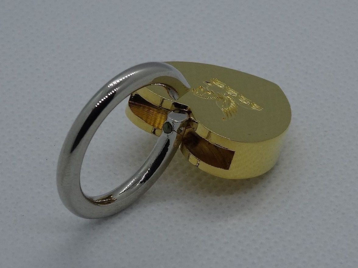 Swarovski Ciondoli: Anhänger mit Schloss-Funktion – Nuovo (secondo la descrizione) da Matten b. Interlaken venduto da kero71 1