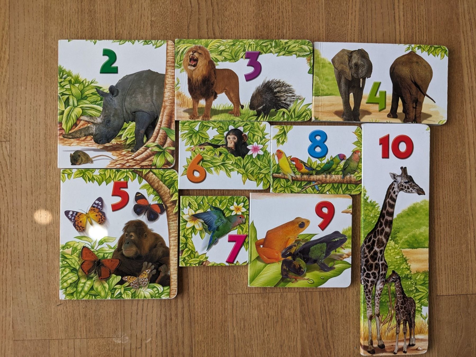 Bücher: 9 Tier Lern-Büechli – Gebraucht aus Wald ZH von andy_ch01