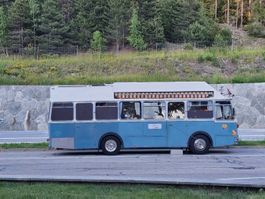 Mercedes Bus Oldtimer Camper - Traum für Vintage Camper Fans