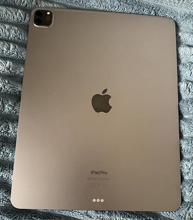 Tablet PC: iPad Pro 12.9 (6th Generation)256GB – Usato da rheinfelden venduto da ant_w9dw 2