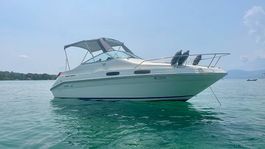 Sea Ray 230 DA - gepflegtes Kajütboot mit Liegeplatz in Biel