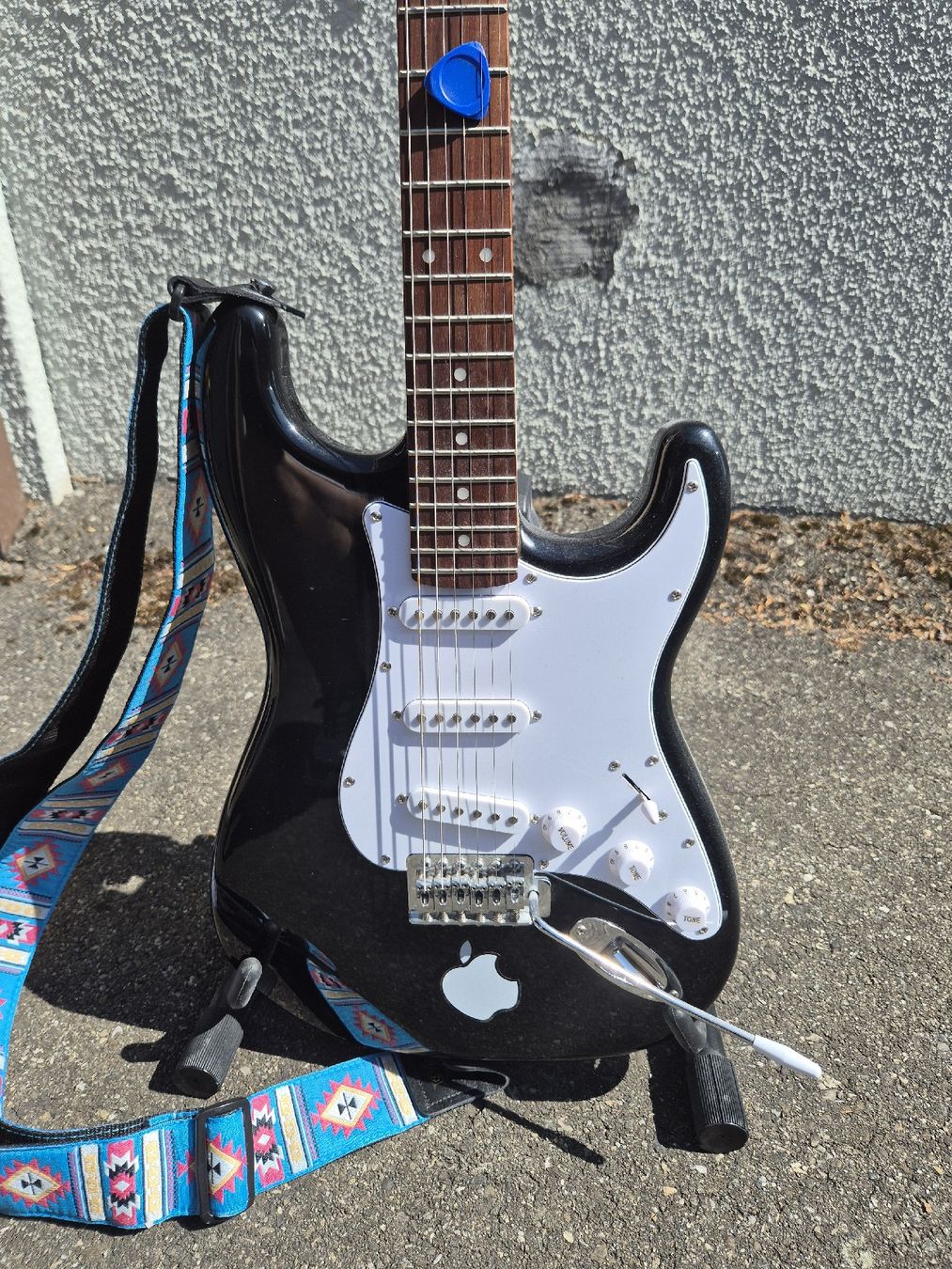 Aria Strumenti musicali: Aria Pro 2 Gitarre+ AC601 Mark Acoustic – Nuovo (secondo la descrizione) da Kreuzlingen venduto da Swiss.Chanel 1