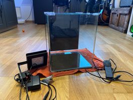 Dennerle 30l Cube inkl. Fluval Lampe und Thermostat