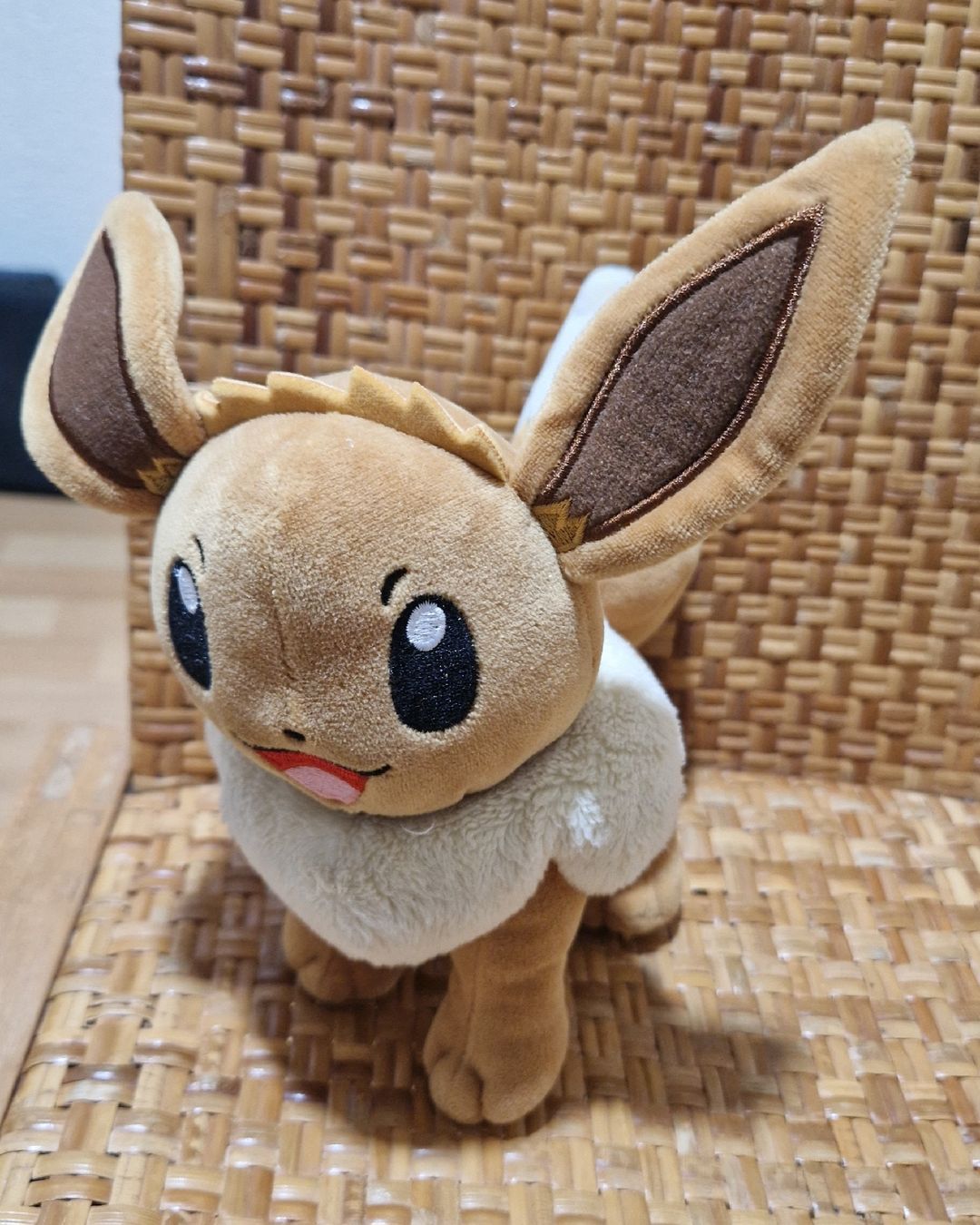 Pokémon Giocattoli: Pokémon Plüschtier Evoli – Usato da Möhlin venduto da Lyhme94