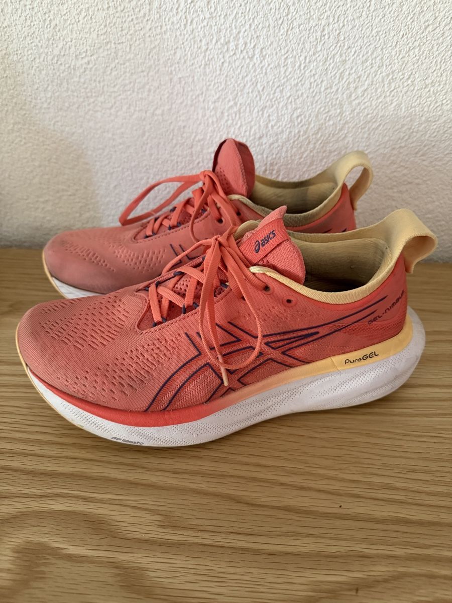 Asics Scarpe da uomo: Asics Gel Nimbus 25 – Usato da Adliswil venduto da Laur2000 3