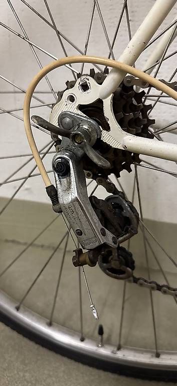 Biciclette: Rennvelo Super Mondio Oldtimer – Usato da Oftringen venduto da sdo_5gdp 1